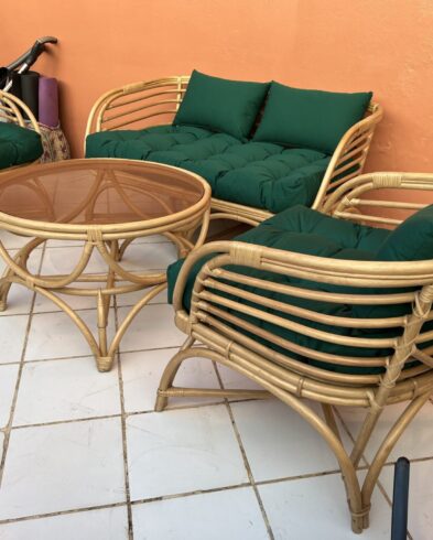 Salon de Jardin en Rotin avec Coussin Vert – Élégance et Confort pour Votre Extérieur